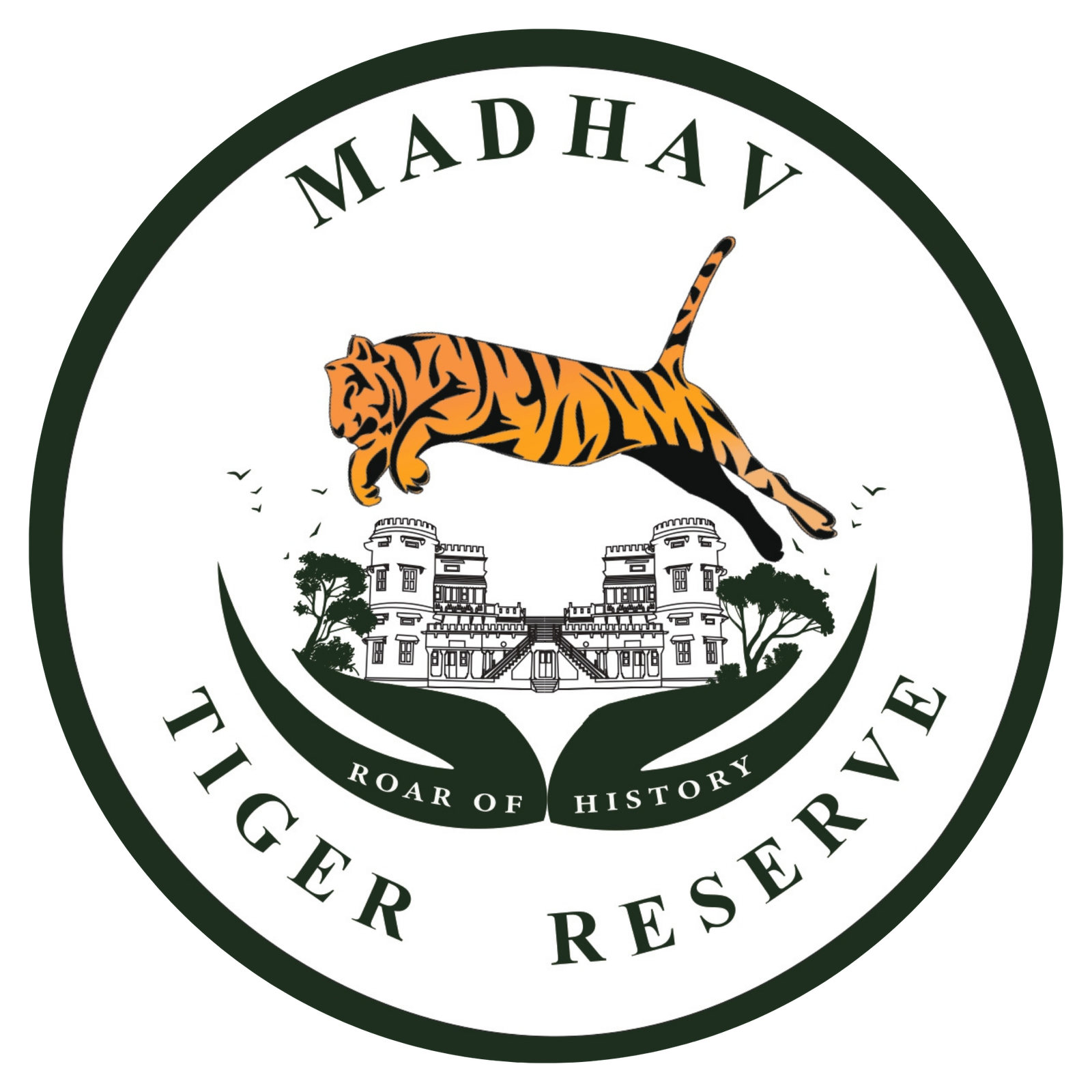 Madhav National Park madhav-national-park